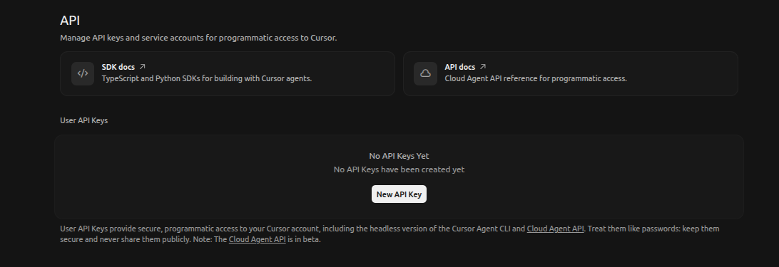 Cursor Api key Setting